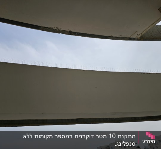 דוקרנים למניעת יונים על קיר חיצוני